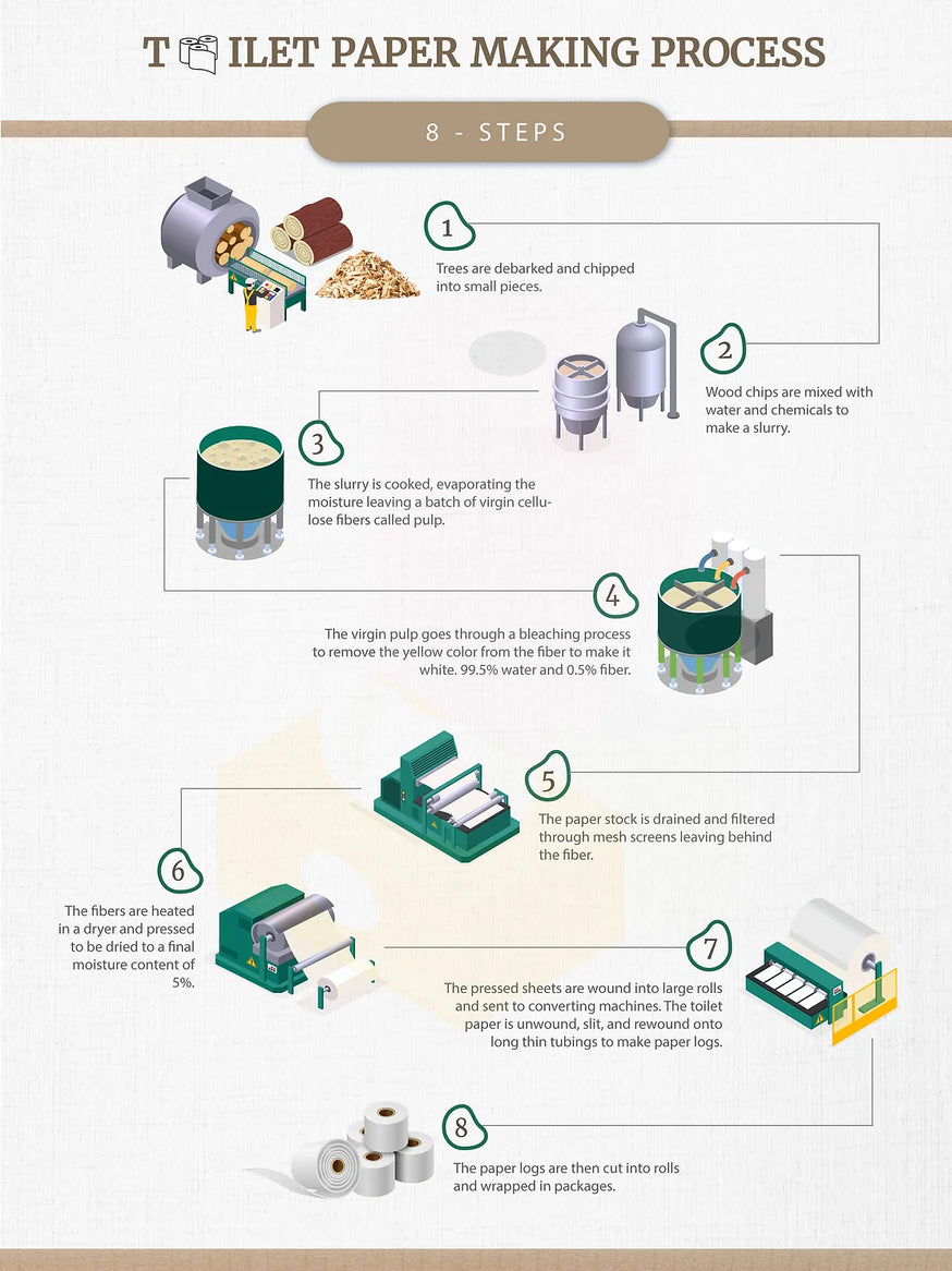 TOILET PAPER MAKING PROCESS