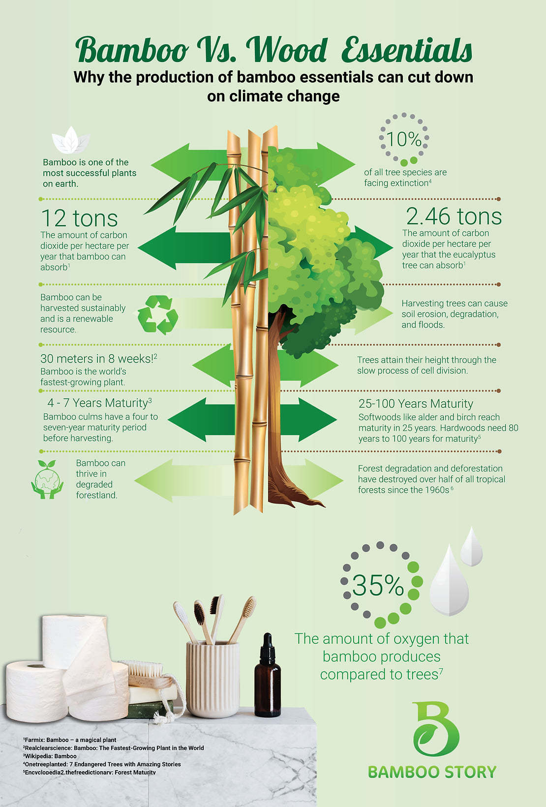 BAMBOO VS WOOD ESSENTIALS
