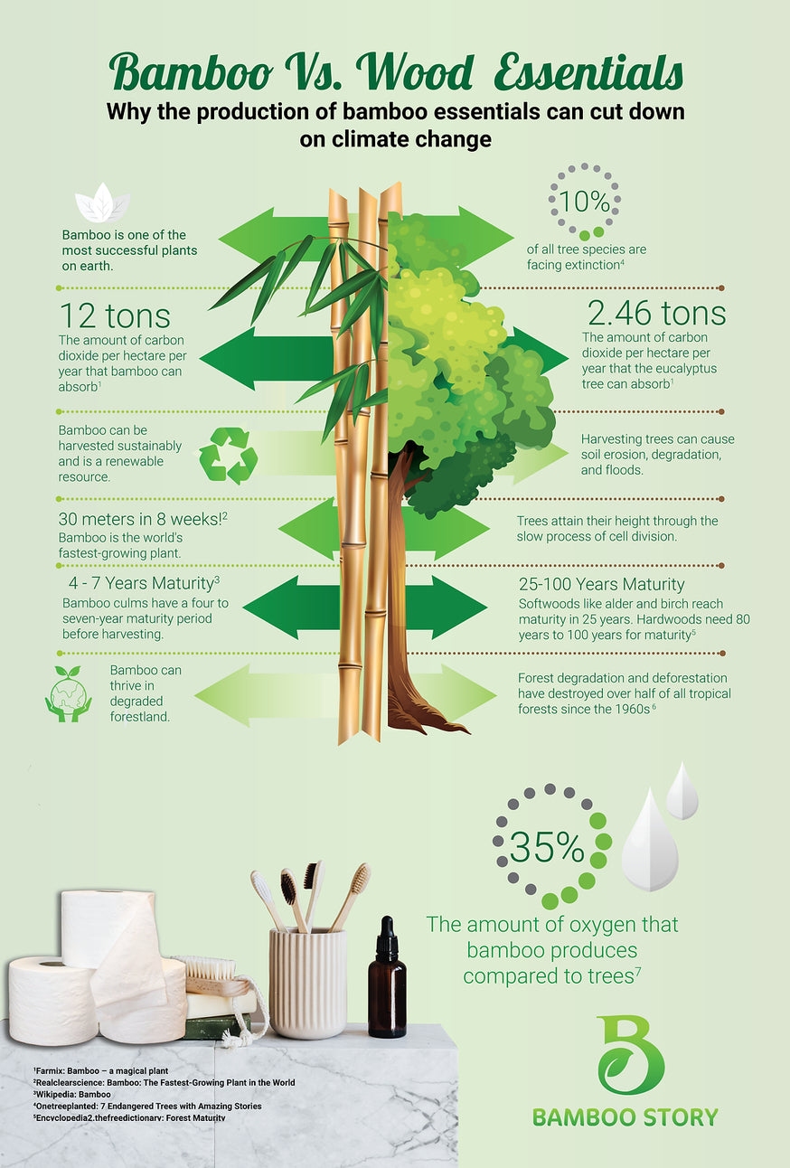 BAMBOO VS WOOD ESSENTIALS