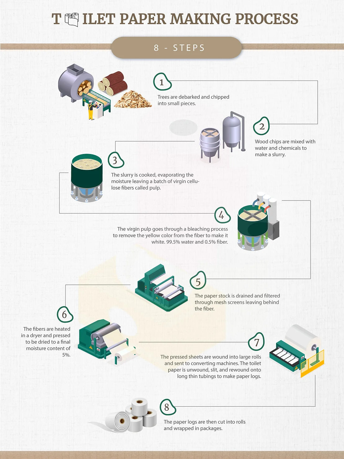 TOILET PAPER MAKING PROCESS