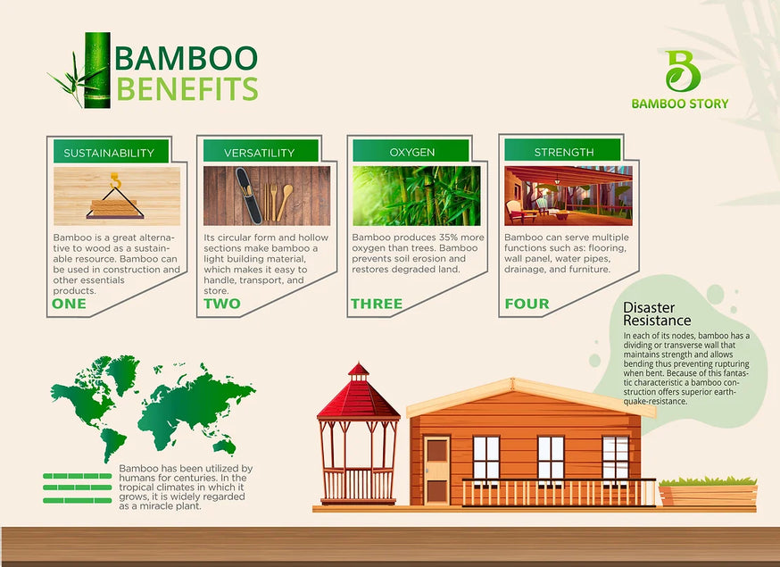 BAMBOO BENEFITS