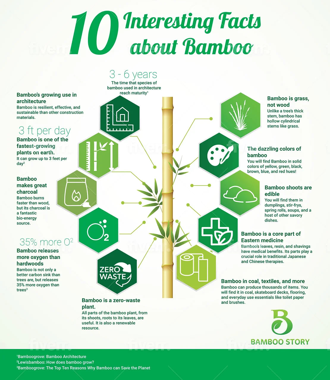 10 INTERESTING FACTS ABOUT BAMBOO