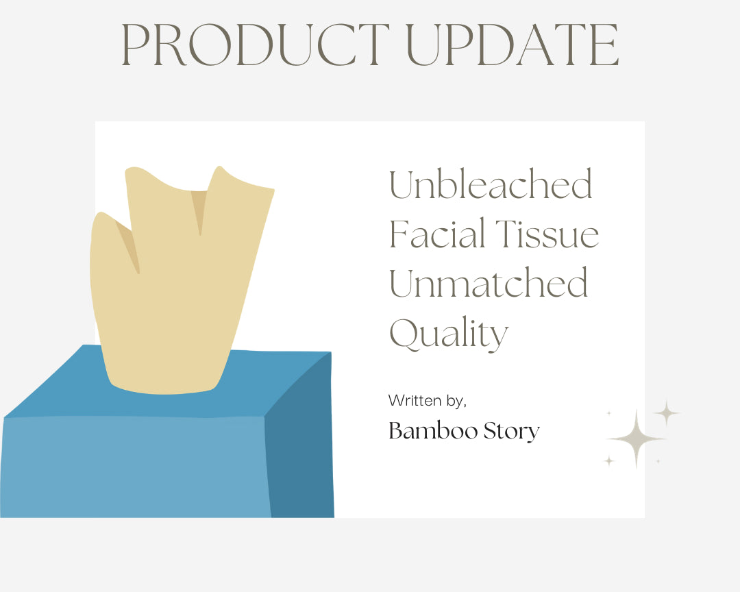 Introducing Unbleached Facial Tissue: The Next Chapter in Bamboo Story's Sustainable Journey