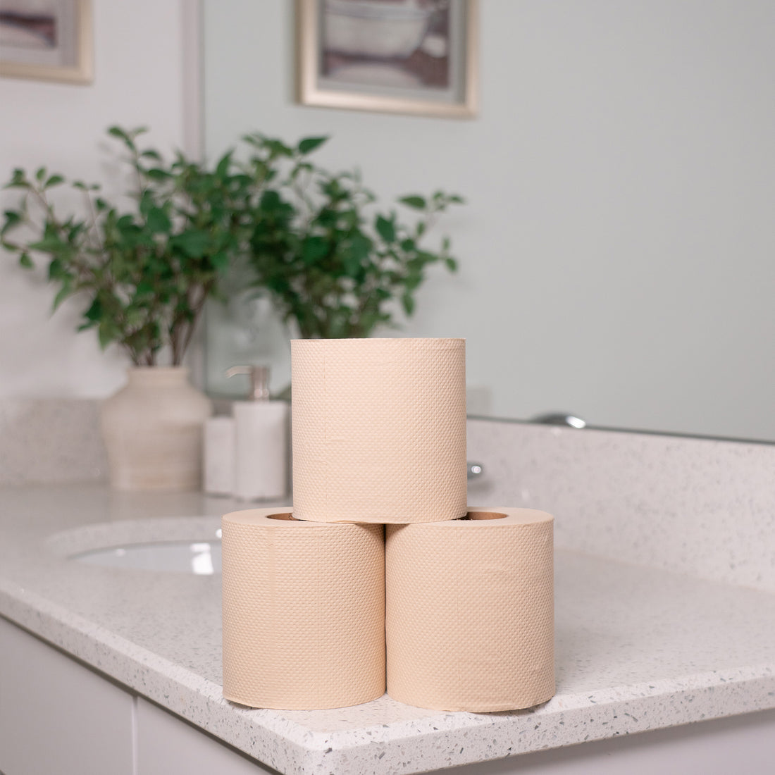 48 Bulk Unbleached Bamboo Toilet Paper