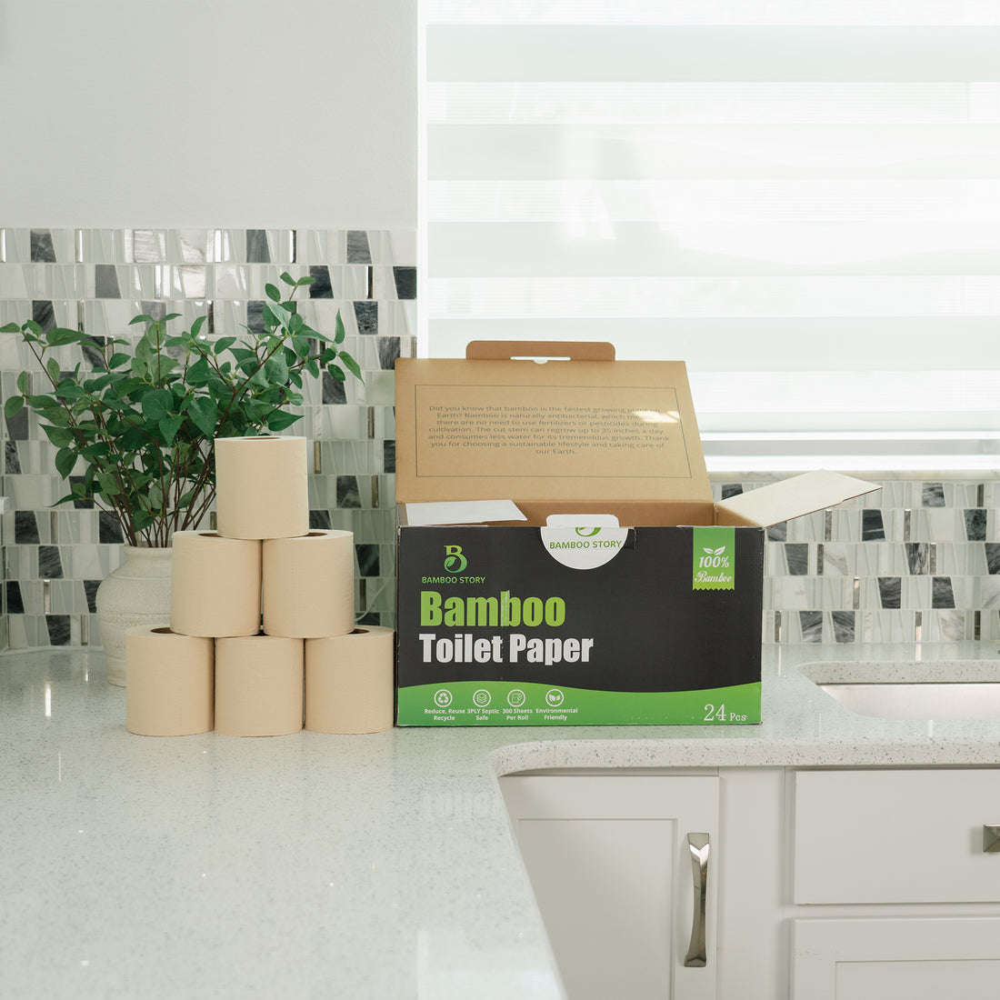 12 Box Unbleached Bamboo Toilet Paper